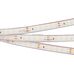 Лента RTW 2-5000PGS 24V White 2x (3528, 600 LED, LUX) (Arlight, 9.6 Вт/м, IP67)