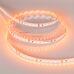Лента RT 2-5000 24V Orange 2x (3528, 600 LED, LUX) (Arlight, 9.6 Вт/м, IP20)