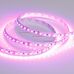 Лента RT 2-5000 12V Pink 2X (3528, 600 LED, LUX) (arlight, 9.6 Вт/м, IP20)