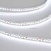 Лента RT6-3528-180 24V White6000 3x (900 LED) (arlight, 14.4 Вт/м, IP20)