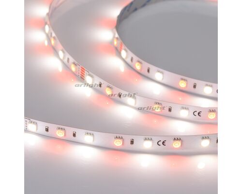 Лента RT-B60-10mm 24V RGBW-Day (14.4 W/m, IP20, 5060, 5m) (Arlight, Открытый)