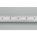 Лента RS 2-5000 24V White6000 2x (3014, 120 LED/m, LUX) (Arlight, 9.6 Вт/м, IP20)