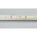 Лента RT 2-5000 24V Day5000 2x (2835, 160 LED/m, LUX) (Arlight, 12 Вт/м, IP20)