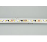 Лента SPI-5000-AM 12V White6000 (5060, 60 LED/m, x3) (arlight, Открытый, IP20)