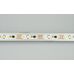 Лента SPI-5000-AM 12V Day4000 (5060, 60 LED/m, x3) (arlight, Открытый, IP20)