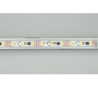 Лента SPI-5000P-AM 12V Day4000 (5060, 60 LED/m, x3) (arlight, Закрытый, IP66)