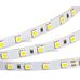 Лента RT 2-5000 36V Cool 2x (5060, 300 LED, LUX) (arlight, Открытый)