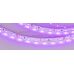 Лента RT 2-5000 12V Pink (3528, 300 LED, LUX) (arlight, 4.8 Вт/м, IP20)