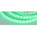 Лента RTW 2-5000SE 12V Green 2x (5060, 300 LED, LUX) (Arlight, 14.4 Вт/м, IP65)