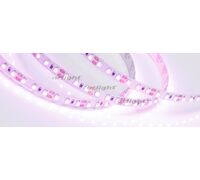 Лента RT 2-5000 12V Pink 2X (3528, 600 LED, LUX) (arlight, 9.6 Вт/м, IP20)