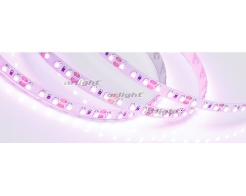 Лента RT 2-5000 12V Pink 2X (3528, 600 LED, LUX) (arlight, 9.6 Вт/м, IP20)