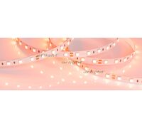 Лента RT 2-5000 24V Orange 2x (5060, 300 LED, LUX) (arlight, 14.4 Вт/м, IP20)