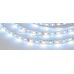 Лента RT6-5050-60 24V RGB-White 2x (300 LED) (arlight, 14.4 Вт/м, IP20)