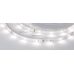 Лента RT 6-5000 12V Day (2835, 150 LED, PRO) (arlight, 6 Вт/м, IP20)