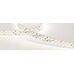 Лента RT 2-5000 24V Day4000 3x2 (2835, 1260 LED, LUX) (Arlight, 27 Вт/м, IP20)