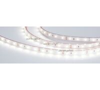 Лента RTW 2-5000PS 12V White6000 (3528, 300 LED, LUX) (arlight, 4.8 Вт/м, IP67)