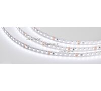 Лента RT 2-5000-50m 24V White6000 2x (3528, 120 LED/m, LUX) (arlight, 9.6 Вт/м, IP20)