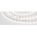 Лента RT 2-5000-50m 24V Day4000 (3528, 60 LED/m, LUX) (Arlight, 4.8 Вт/м, IP20)