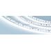 Лента RT-10000 24V White6000 2x (3528, 120 LED/m, 10m) (arlight, 9.6 Вт/м, IP20)