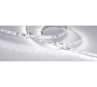 Лента RT-20000 24V White6000 (3528, 60 LED/m, 20m) (arlight, 4.8 Вт/м, IP20)