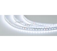 Лента RTW-5000SC 24V Cool SP7500-Fish 10mm (2835, 112 LED/m, SHOP) (arlight, Открытый)