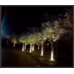 Cветильник фасадный направленного света TREE, 12Вт 24V - Монохром